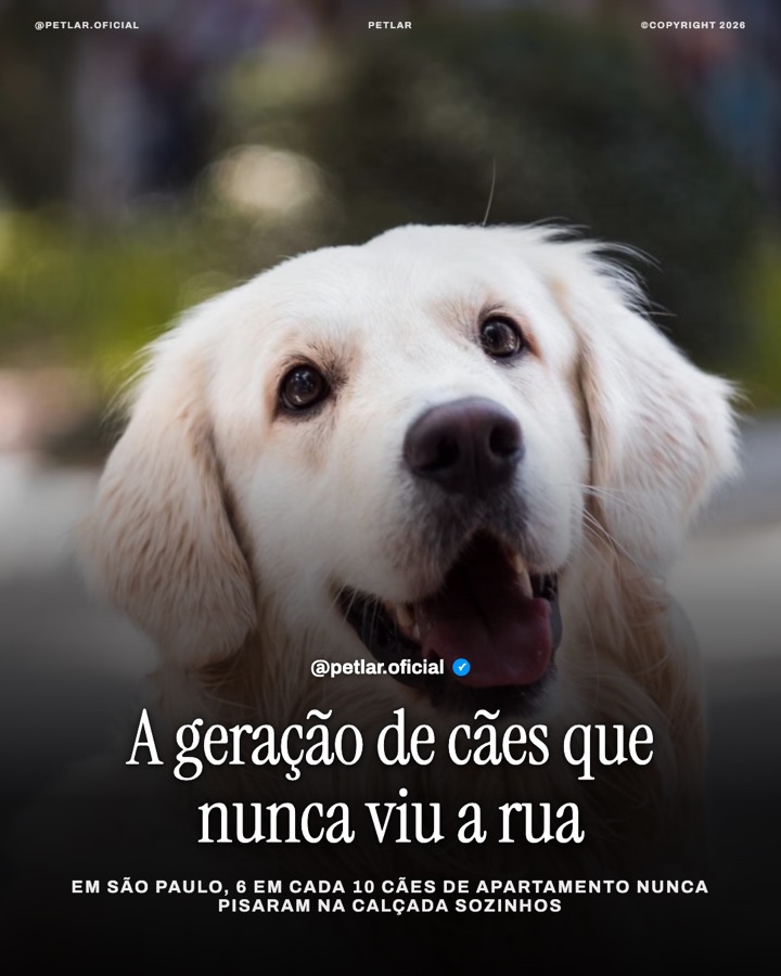 Post real gerado no Content Machine
